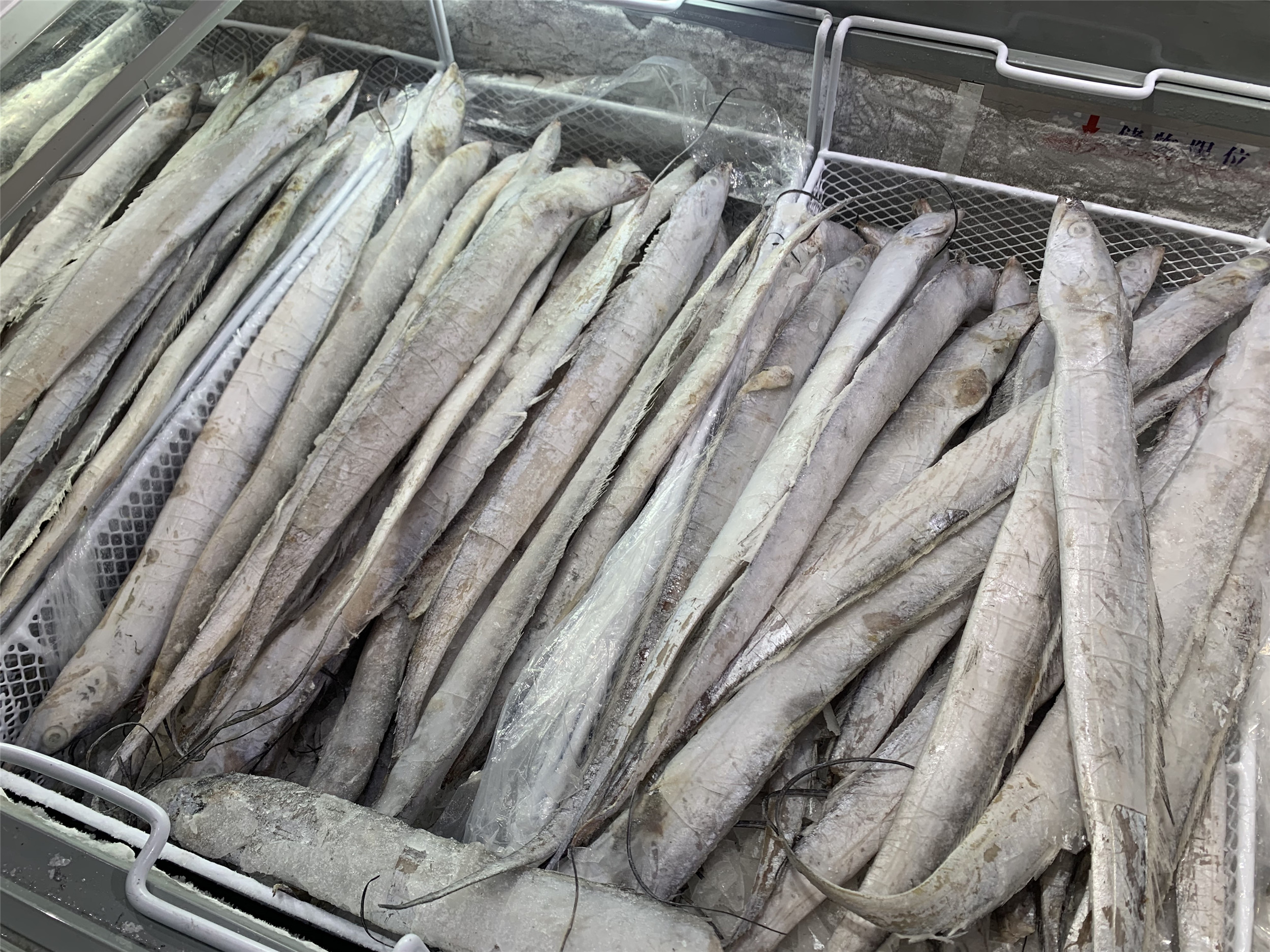 买带鱼时,记住选择“三小一厚”,条条细嫩鲜美,鱼腥味小