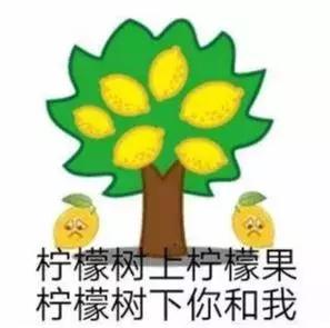 上海可以逛的书店,上海有哪些书店可以逛