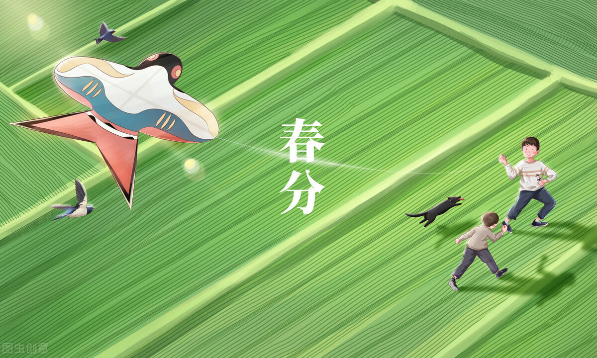 2021029期双色球开奖结果,双色球2021029期开奖结果