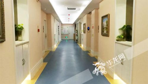 猪宝宝快出生,猪宝宝扎堆