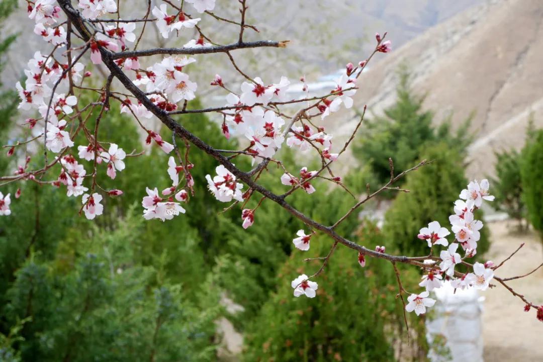 拍拉萨全景哪里最好,拉萨最适合拍照的地方