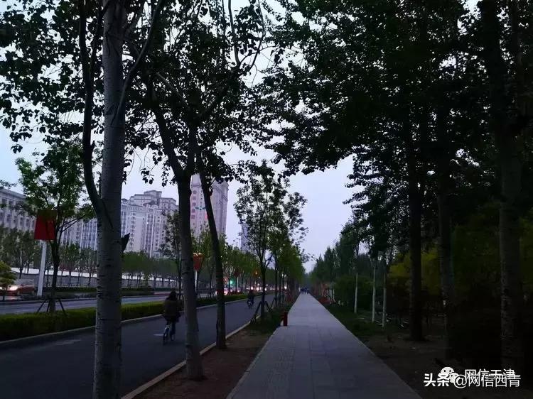 天津里巷,天津津门里巷老照片