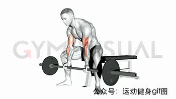 100张肌肉分解图,手臂肌肉的爆发力怎么练