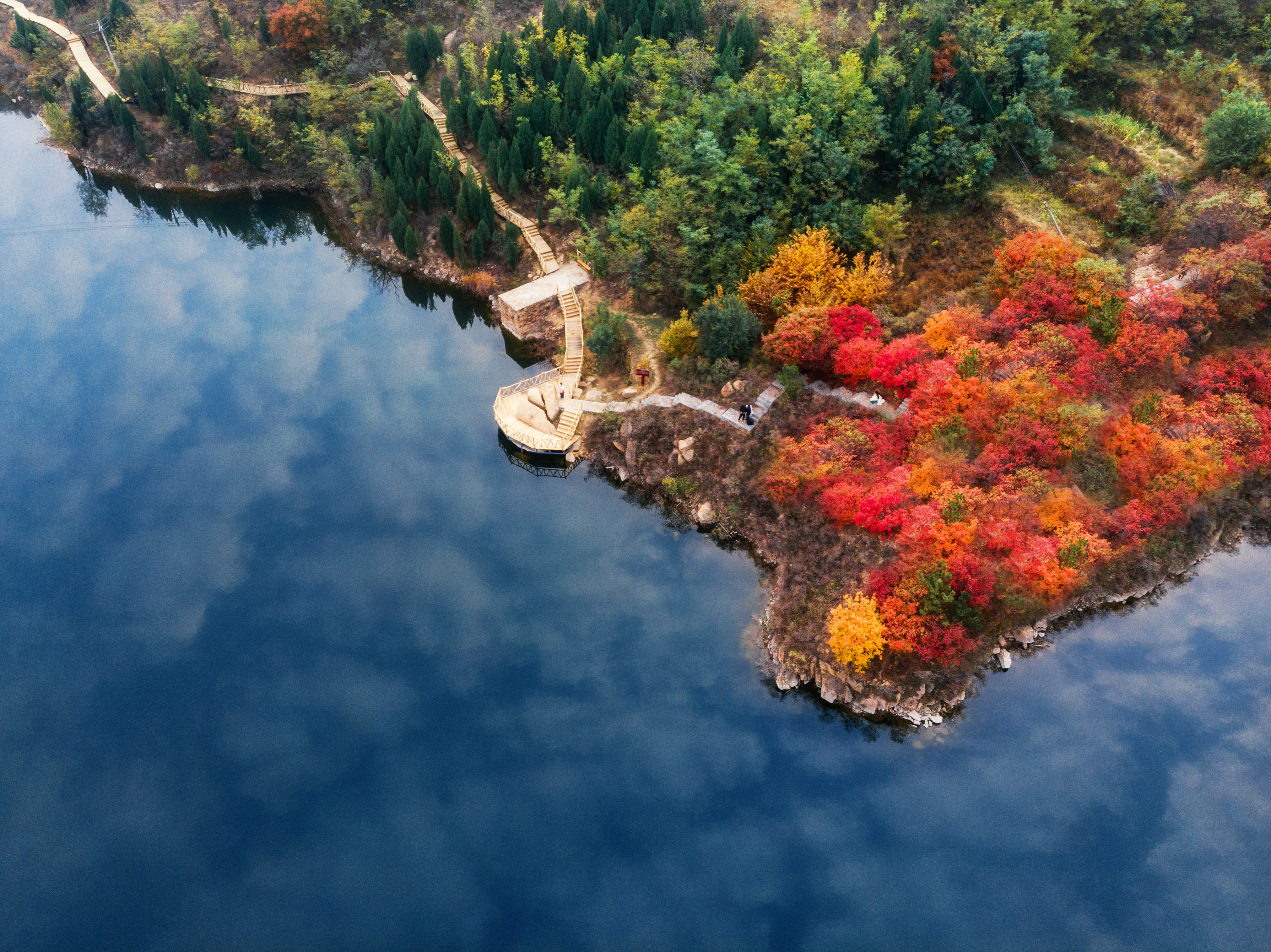 入秋济南好去处,济南秋季看花打卡地
