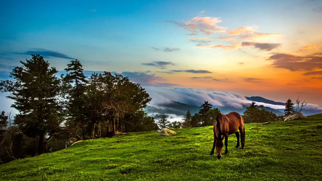 五一旅游如何去长白山,白山市4天旅游攻略