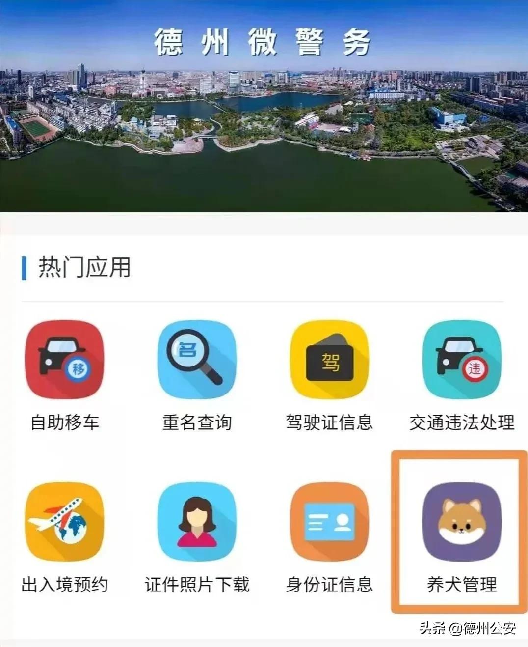 养犬准养登记收费政策,养犬管理系统办理养犬登记
