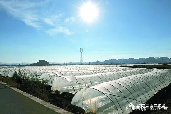 冬季怎样给大棚增温,冬天大棚增温措施有哪些