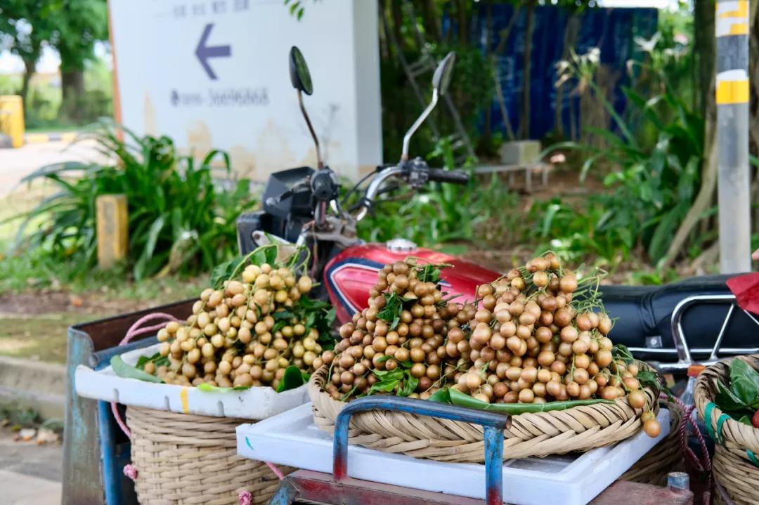 璇ヤ笉璇ュ幓娴峰彛,鏉ュ埌娴峰彛浣犲悗鎮斿悧