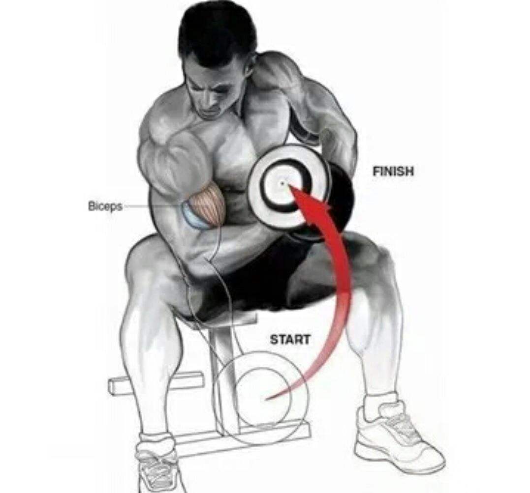 麒麟臂二头训练方法,麒麟臂的最佳锻炼方法