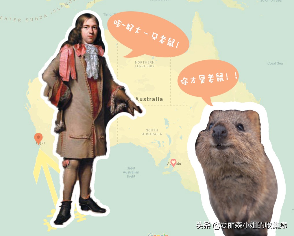 为什么我们会微笑？10个关于微笑袋鼠的萌萌秘密