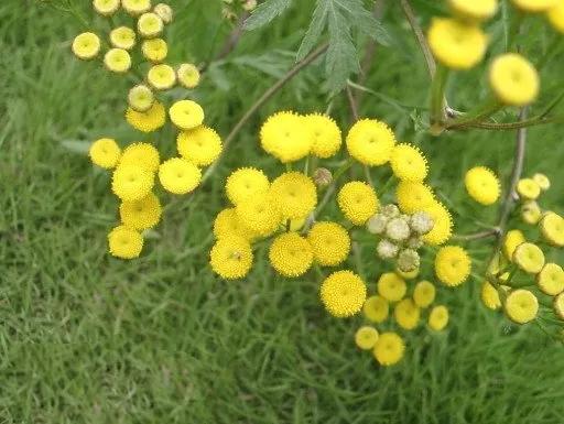 个案研习社|湿疹瘙痒难耐，“对症下药”是关键