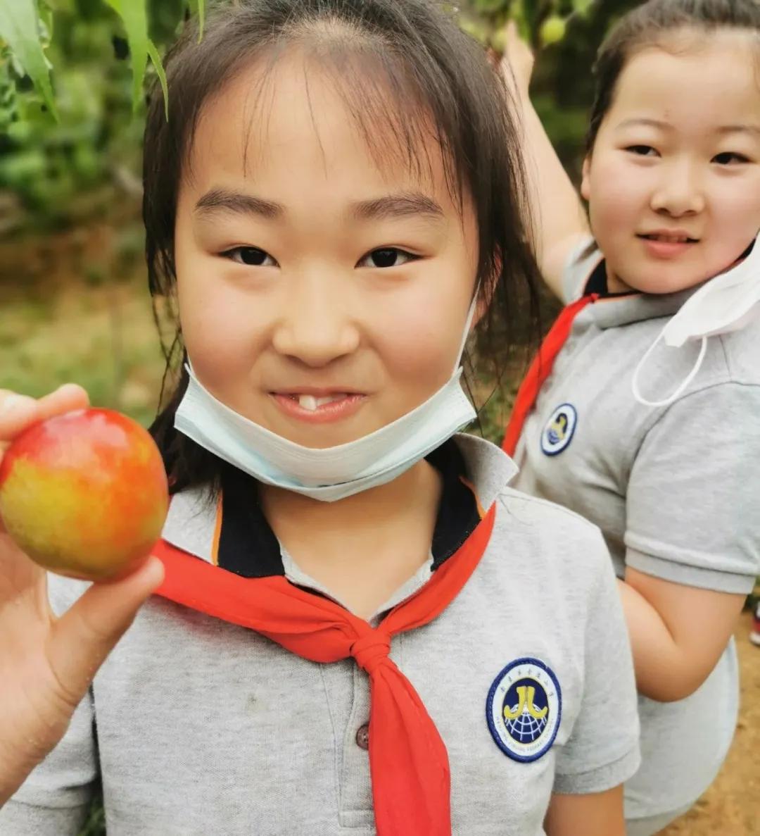南京金陵小学仙林学费,南京市金陵小学仙林湖校区学费
