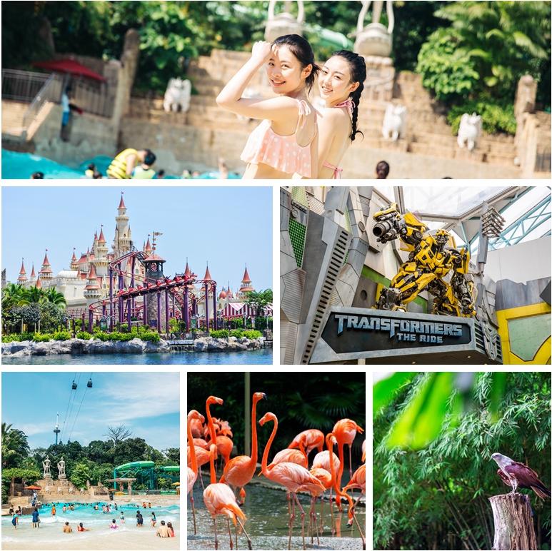 玩转新加坡之省钱攻略，秘密就在这张神奇的卡片！