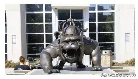 美国十大最受欢迎的学校,美国最受欢迎的十大名校排行榜