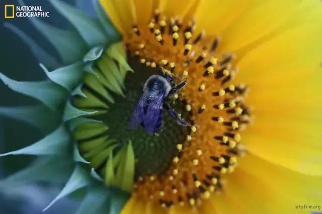 大家今年拍过最好看的照片,近期拍的最好看的照片