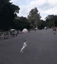 狗子搞笑gif,足球搞笑gif动图