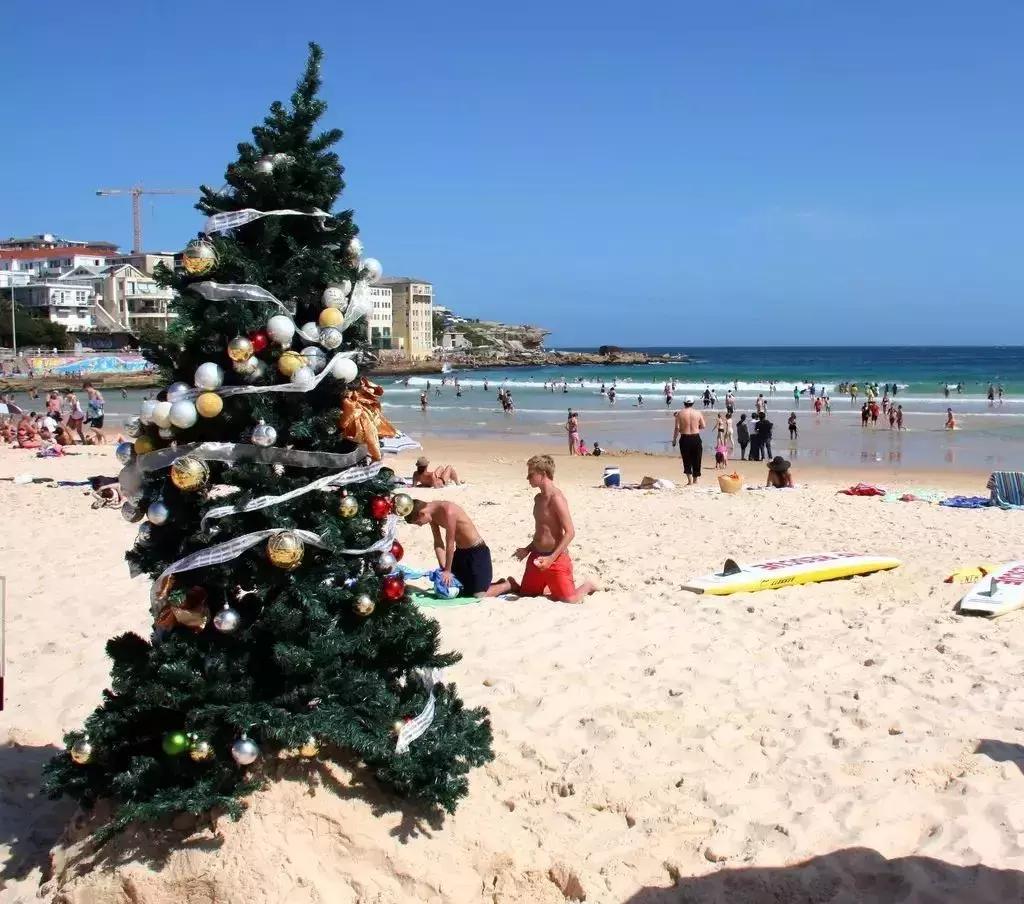 来澳洲才知道的事,来悉尼才知道的事