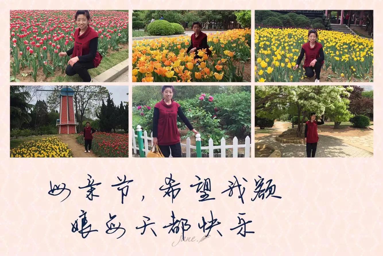 郁金香又叫什么名字,不同颜色郁金香的名字