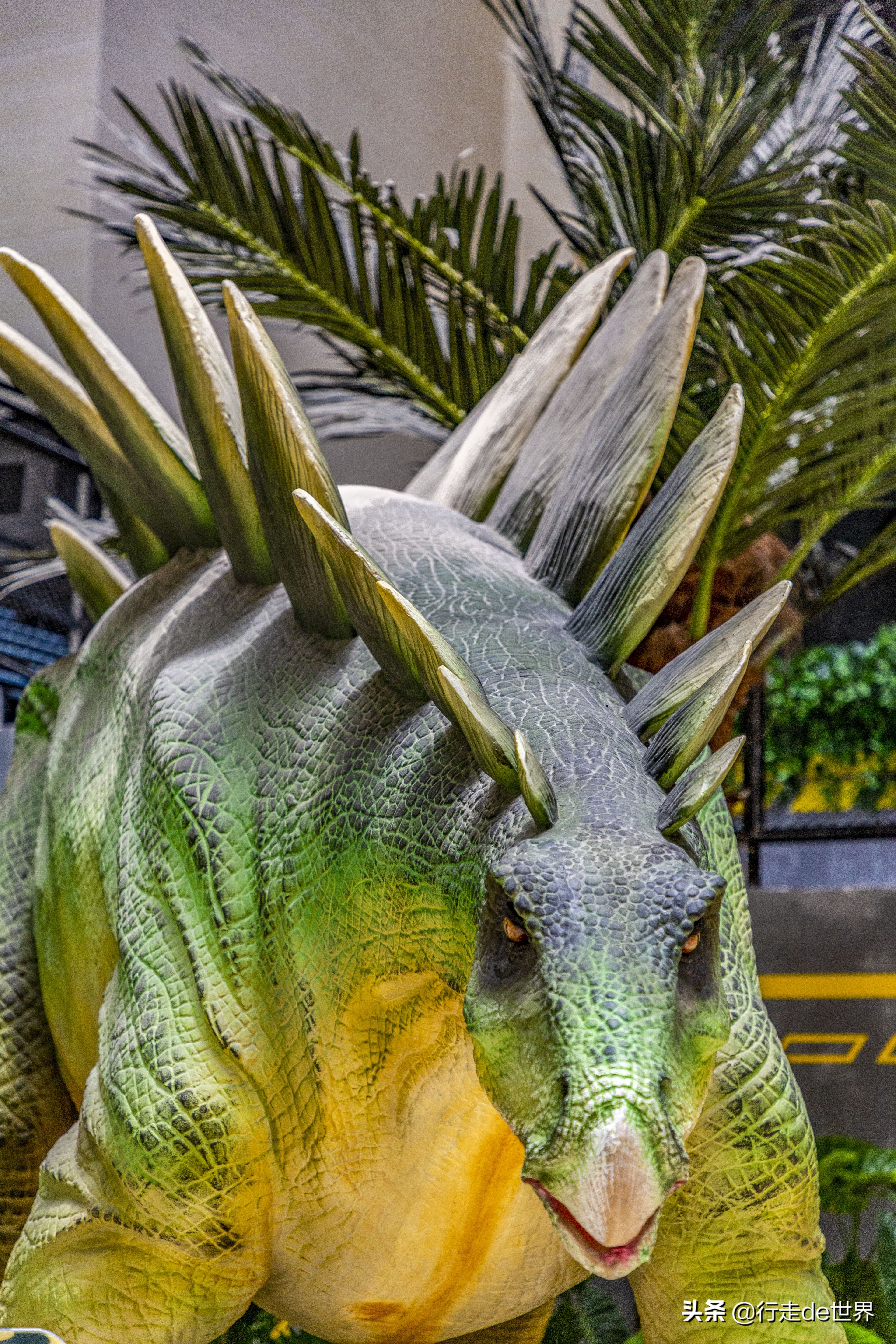 亲子乐园深圳户外,深圳最火爆的亲子乐园