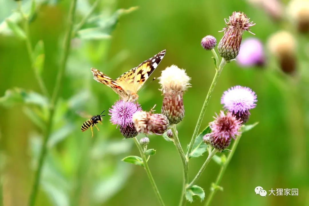 带娃的日子有滋有味,为什么别人的日子过得有滋有味儿