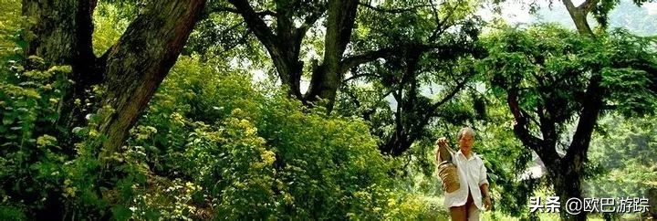 绍兴古道攻略一日游自由行,此生必去的三条国道