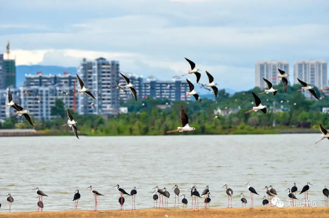 山水为证——走出一条具有开远特色的生态转型之路