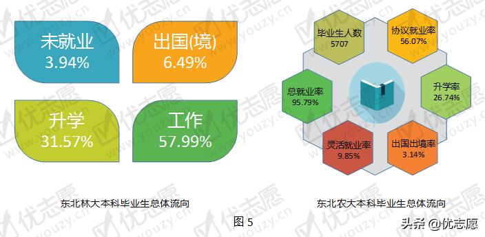 东北林业大学VS东北农业大学实力对比