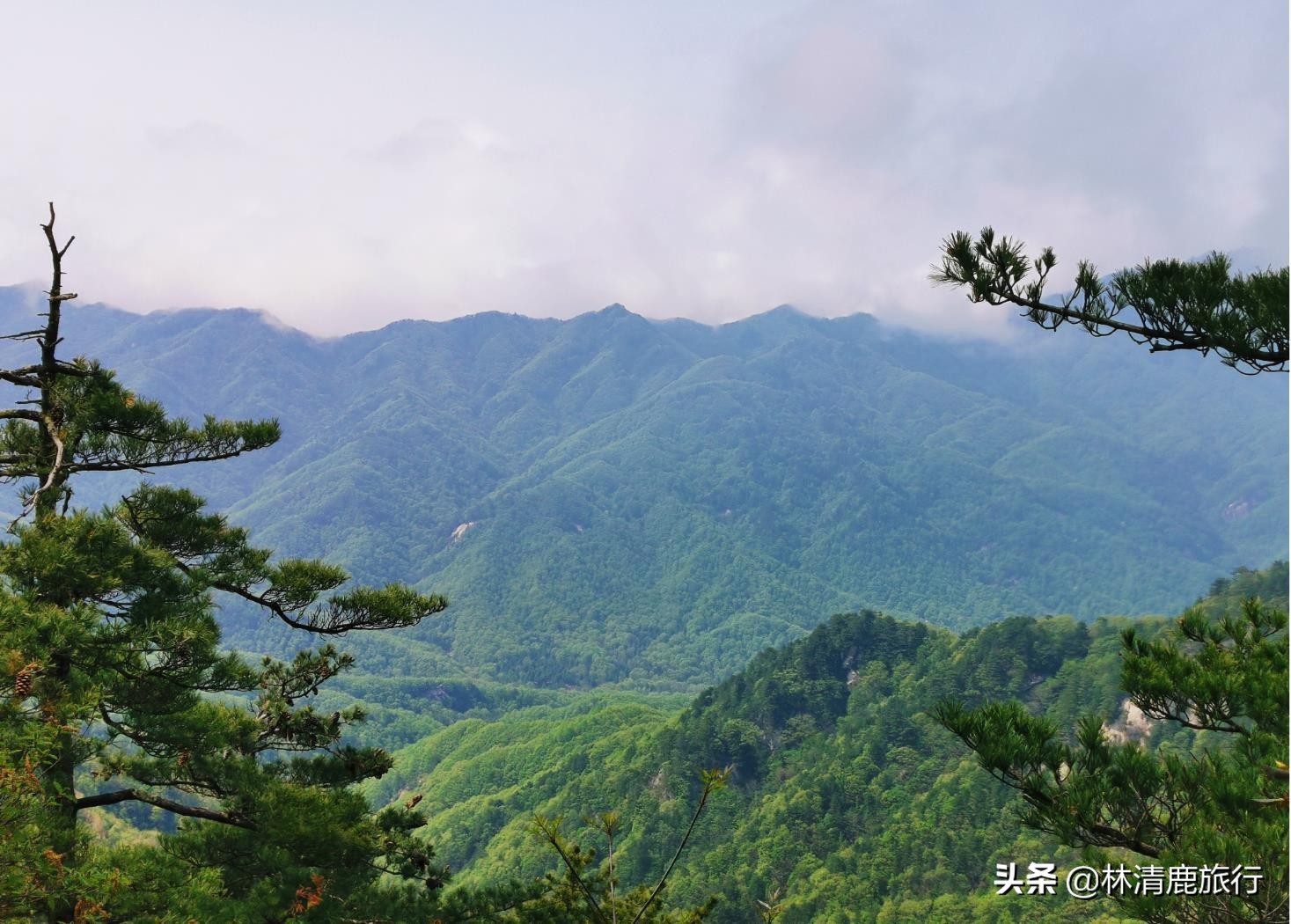 河南境内有山有水不累的景区,河南爬山玩水景点推荐