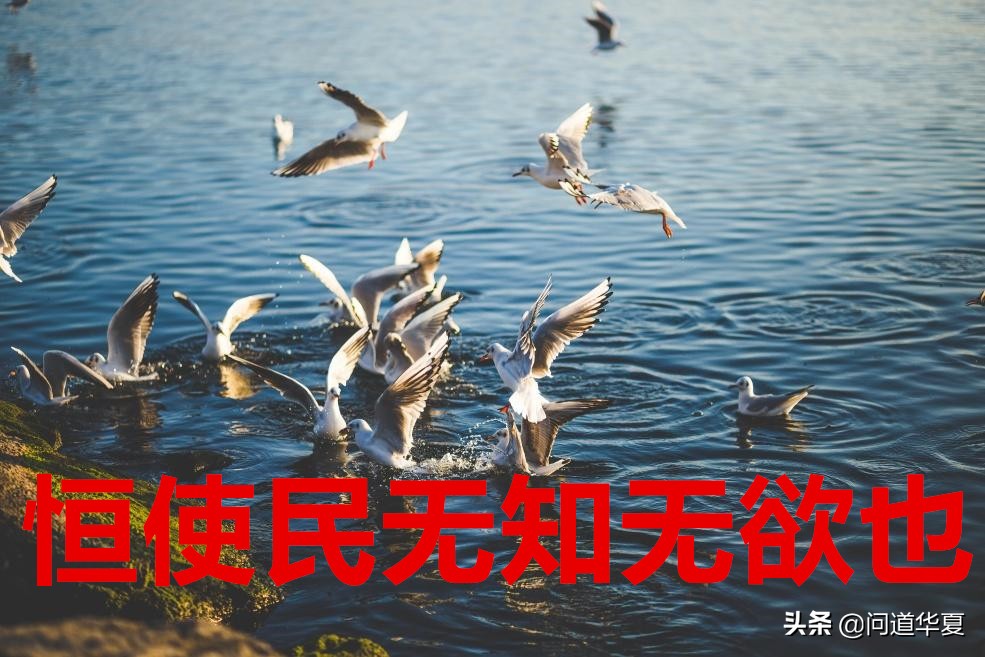 大道泛兮其可左右翻译,大道泛兮其可左右申论