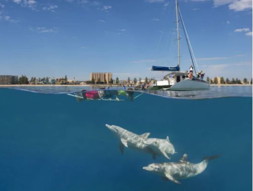 「求真」消费吓退国人的澳大利亚,竟然适合春节旅行?