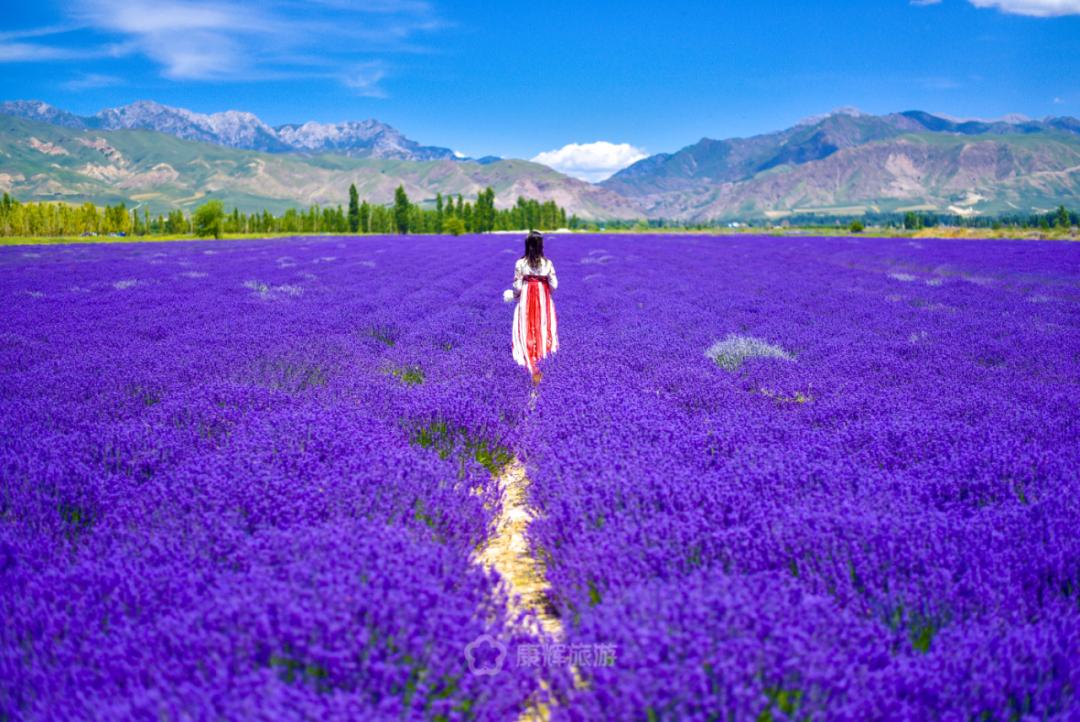 旅行中的故事讲述,旅行过程中的故事