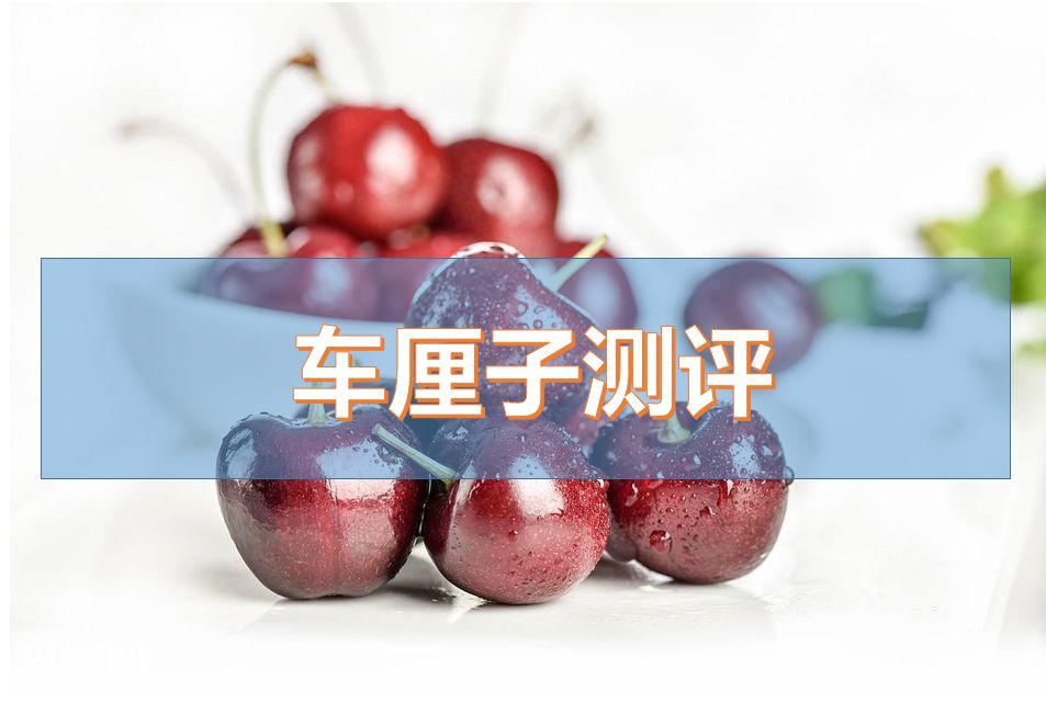 测评|据说吃货界的双十一“剁手”清单，长这样！