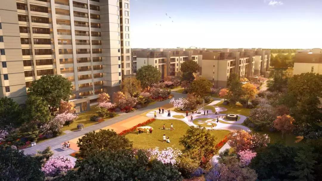 禹洲金陵朗廷精装房,禹洲金陵朗廷房源