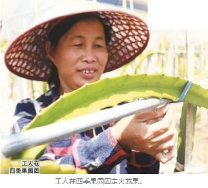 政和最新复工消息,政和回贵州