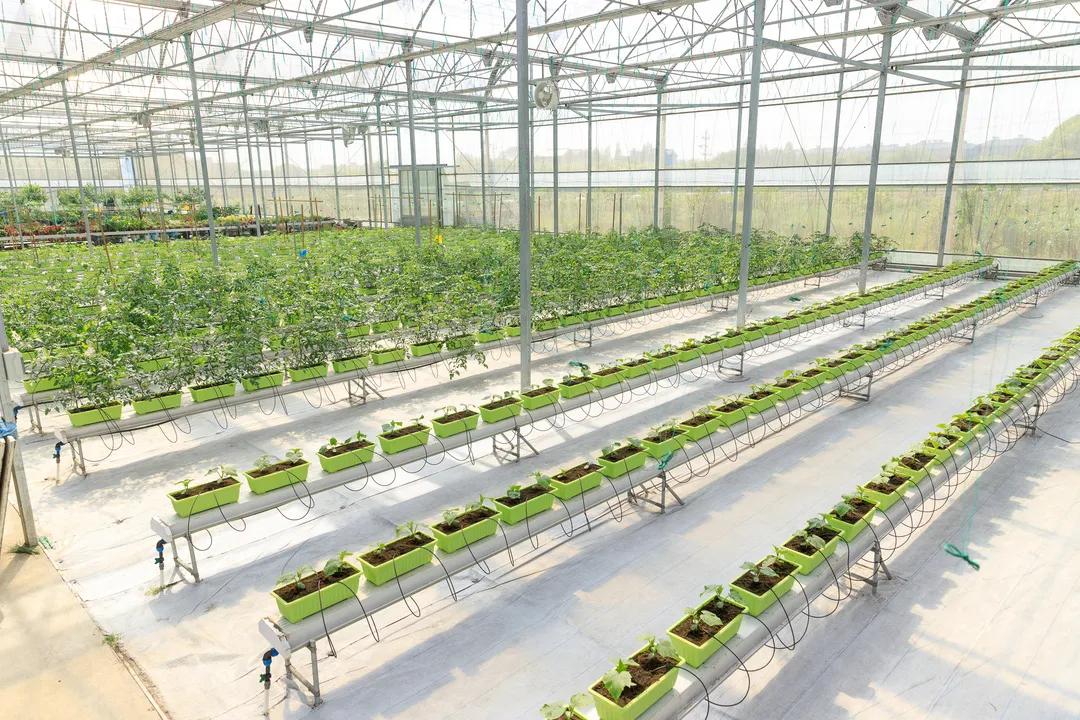 妗愪埂鍚堟偊姹熷崡骞哥鐢熸椿,妗愪埂鍚堟偊姹熷崡鏃呮父鏀荤暐