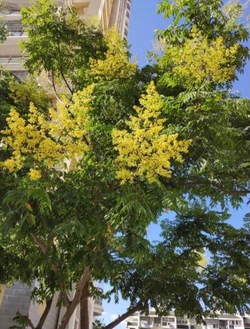 绉嬫棩绗旇鐩存挱,绉嬫棩绗旇