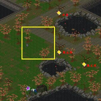 仙剑奇侠传dos版和98柔情版的区别,仙剑奇侠传dos版桃源村地图