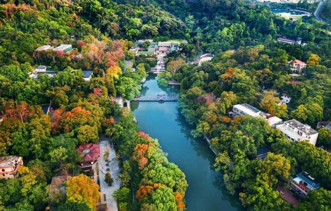 中国天然氧吧在惠州哪里,惠州大自然氧吧