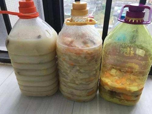 吃完桔子柚子皮皱巴巴,发酵成肥埋盆里,枝条窜出盆变成绿瀑布