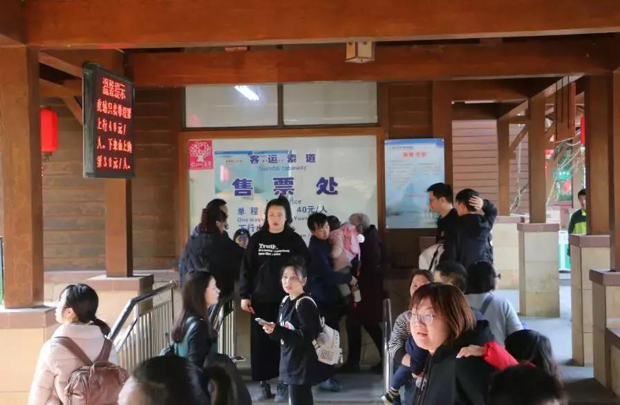 今天,我在宜兴竹海,过传统春节,沾福气满满!