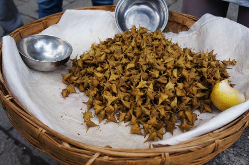 菱妹妹的前世今生,前世今生小说季雨菱