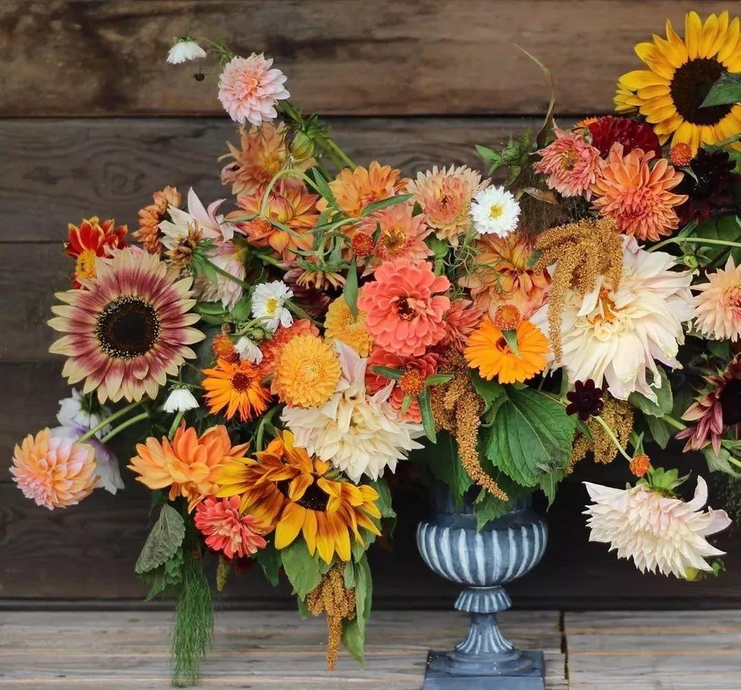 花材正确处理方式及日常养护,花材换水