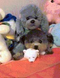 肾虚能通过健身改善吗,健身可以有效抵抗肾虚吗