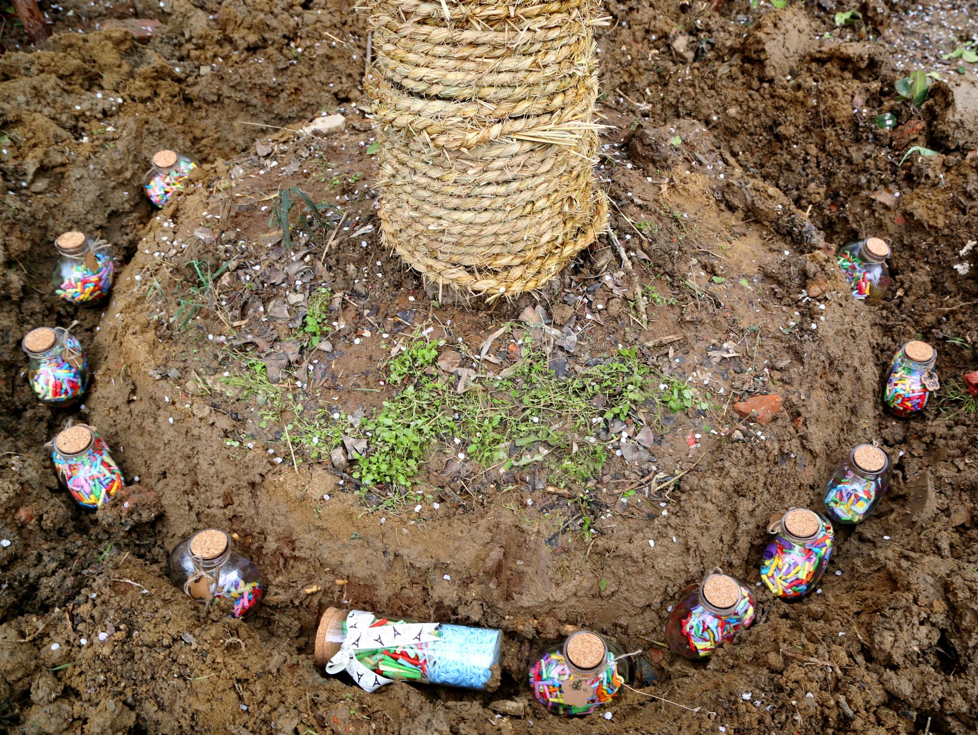 合肥望湖四十八中学校长,合肥汪蓉校长简介