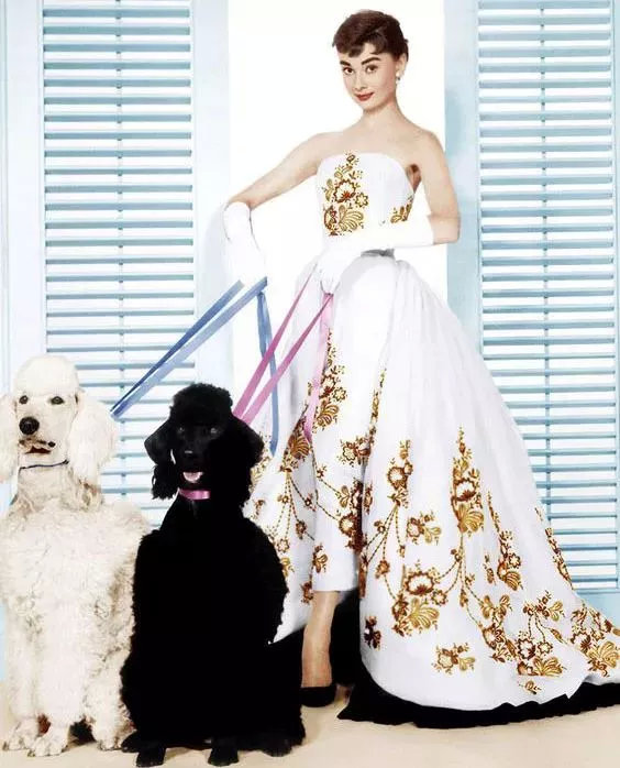 十大女装品牌排行榜前十名,成都ifs女装奢侈品牌