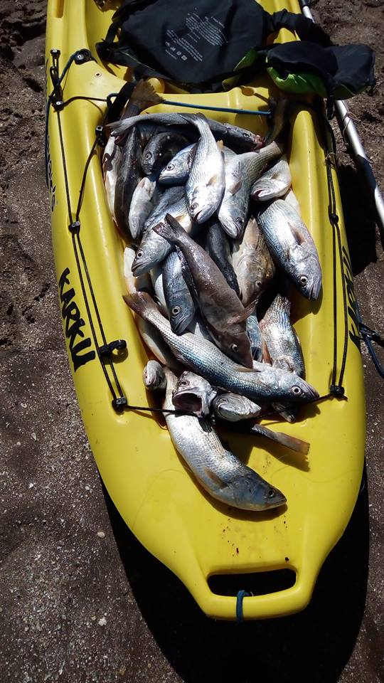 这才是最真实的国外钓鱼人，别崇洋媚外了，原来我们都被骗了