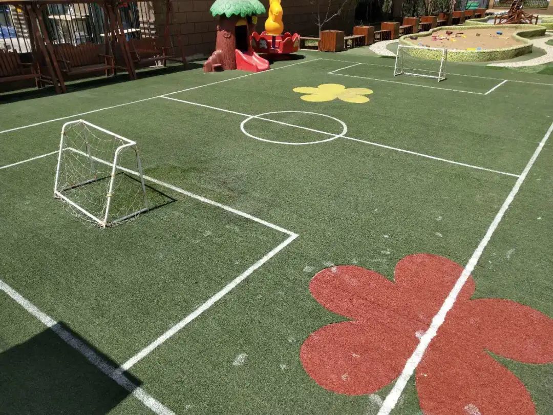 「长拖资讯」初夏绽放——老师把幼儿园的夏天和思念“打包”给你