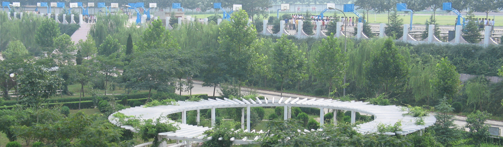 考上清华北大最多的十所高中,洛阳市考上清华北大名单