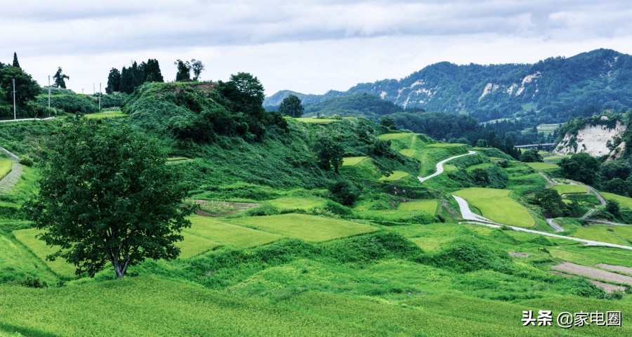 家电市场短暂休整，美的特斯拉A.O.史密斯格兰仕京东集体出圈