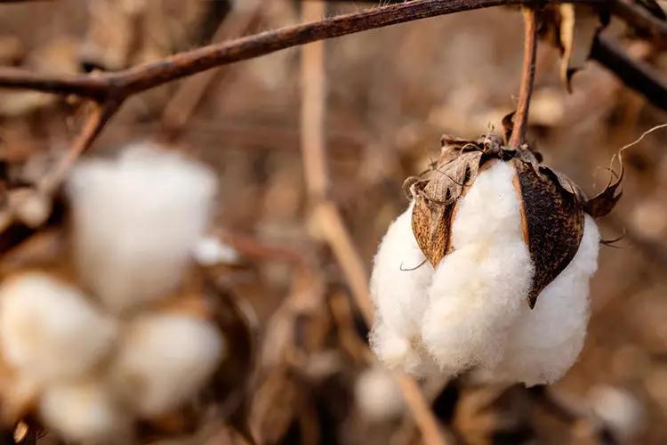 过年床品讲究,新年床单被子什么时候换